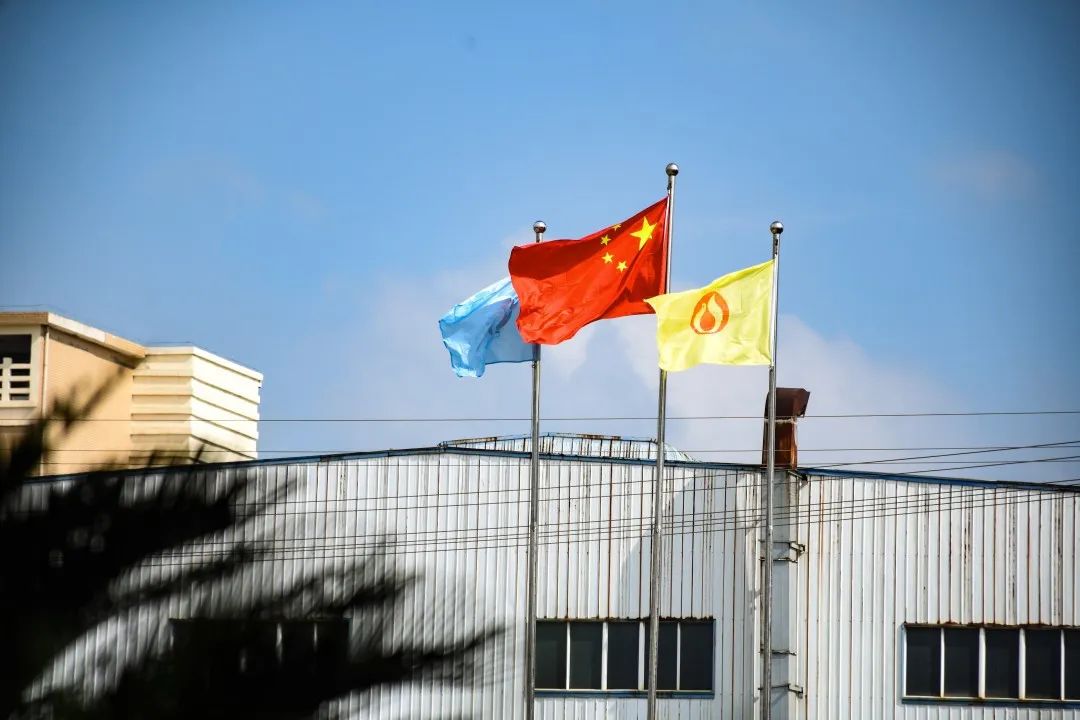 老干部視察朝陽(yáng)集團